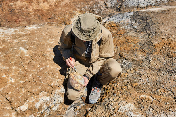 Upcoming Gold Mine Project